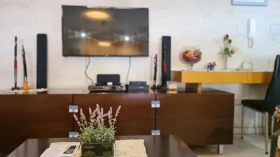 a room with a tv and a table with a potted plant at STAY Serenity Apartment in Yukarı Lakatamya