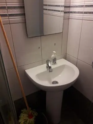 a bathroom with a sink and a mirror and a mop at Nicosia City Centre Apartment in Nicosia