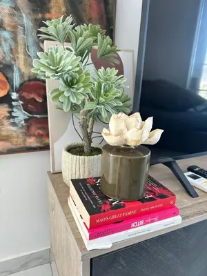 a table with books and a potted plant on top at City Lights - Luxury Penthouse - Panoramic view - Near Unic in Nicosia