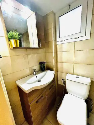a bathroom with a toilet and a sink and a mirror at LINA 25 in Larnaka