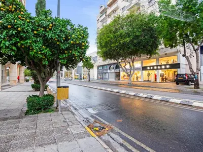 an orange tree on the side of a street at Sanders Premier Downtown in Limassol