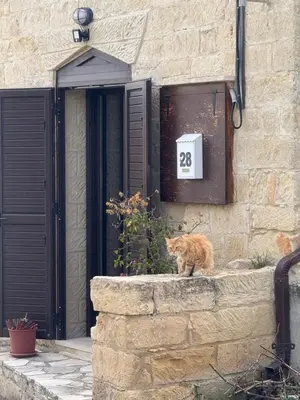an orange cat sitting on a wall in front of a building at Cosy Piano village cottage in Pachna in Pachna