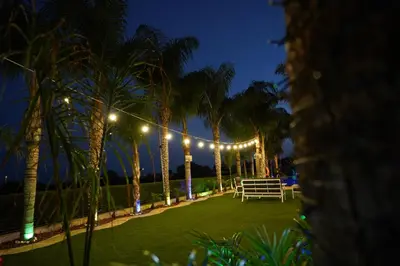 a park with a bench and palm trees at night at Oasis By The Sea - Cyprus in Larnaka