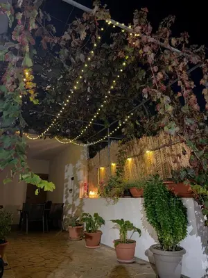 a room with a bunch of plants and lights at Stou Stefani in Agros