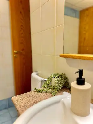 a bathroom with a sink with a potted plant on it at Stou Stefani in Agros