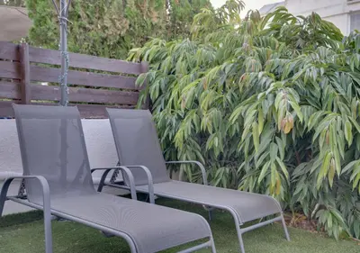 two chairs sitting on the grass next to a bench at Oroklini Star 200metres from the sandy beach in Larnaka