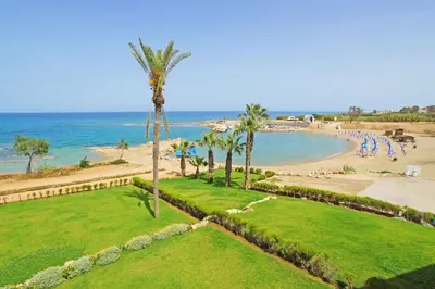 an aerial view of a beach with a palm tree at Villa Celestia in Protaras