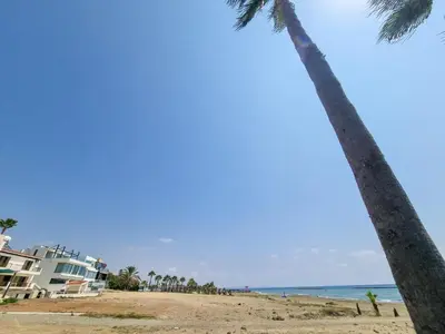 a beach with two palm trees and the ocean at Beach Vibes Beachfront Apartment in Pyla