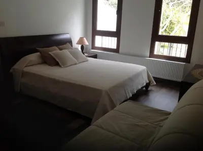 a bedroom with a large bed with two windows at Ta Spitakia tis Theodosias in Kalopanayiotis