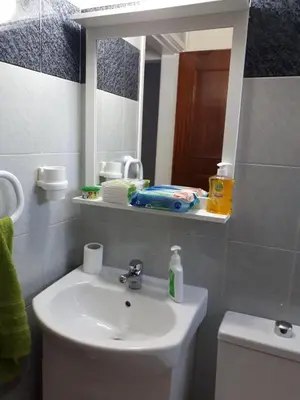 a bathroom with a sink and a mirror and a toilet at ALEX FRUIT TREE HOME in Voroklini