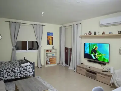 a living room with a couch and a television at Xylophagou Rest and Relax 3 Ayia Napa Larnaca 1 bedroom apartment in Xylophaghou