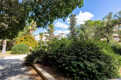 a large green bush in a park with a building at City Center Apartment in Nicosia