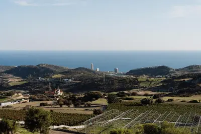a view of a vineyard with a city in the background at Zima Edge in Parekklisha