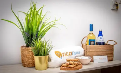 a shelf with a plant and bottles of wine and snacks at Seaview Apartment (Excellent Location) in Larnaka