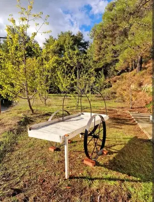 a park bench with a wheel in the grass at Butterfly Home in Platres