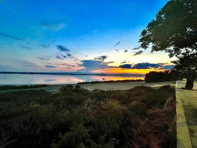 a sunset over a body of water with a tree at Mackenzie 11 in Larnaka
