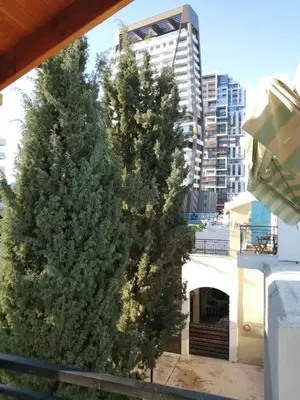 a large christmas tree in front of a building at GALATEX BEACH STUDIO in Limassol