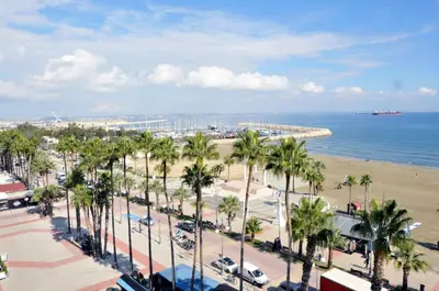 a view of a beach with palm trees and the ocean at 11 Suites - Sunrise Horizon Suite in Larnaka