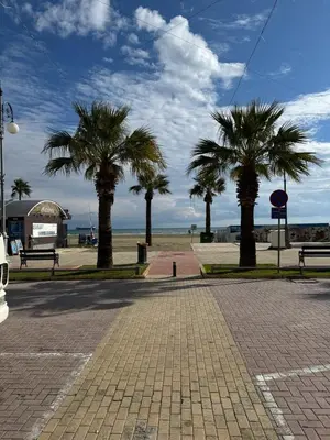 a cobblestone street with palm trees on the beach at 11 Suites - Sunrise Horizon Suite in Larnaka
