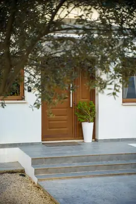 a house with a wooden door with a potted plant at Villa Olivo Maroni in Maroni