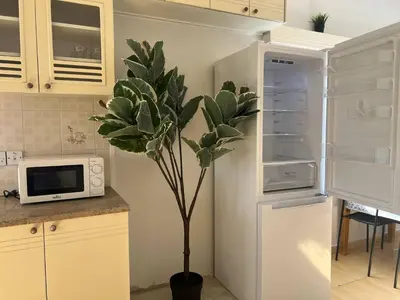 a plant in a kitchen with a white refrigerator at Quiet place in Limassol