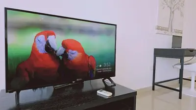 two red birds are sitting on a television screen at STAY White Petals Apartment in Larnaka