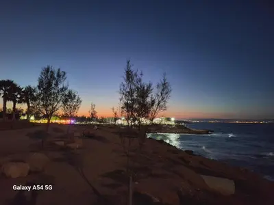 a beach with trees and the ocean at night at POSEIDONIA BEACH GARDENS in Paralimni