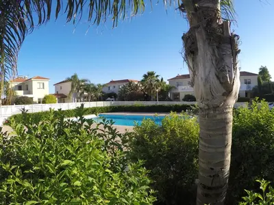 a palm tree next to a swimming pool at Sunrise Villa in Pervolia