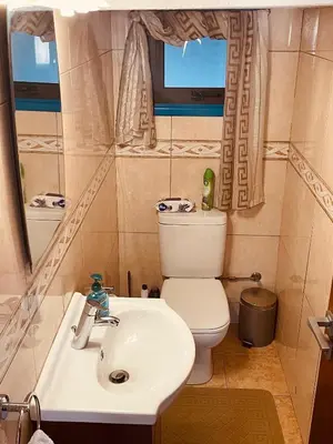 a bathroom with a sink and a toilet and a mirror at House of Hera in Livadhia