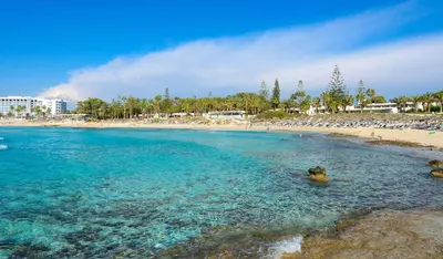 a beach with a dog swimming in the water at Thekla Oasis Villa in Ayia Napa