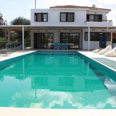 The Olive Tree