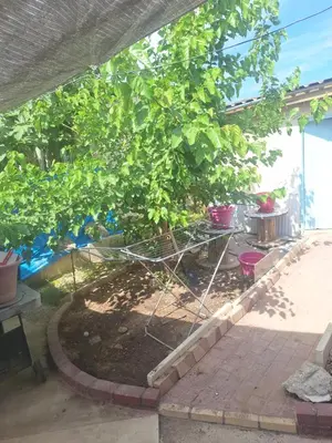 a bird cage under a tree in a yard at Room with private entrance from outside, traditional house in Livadhia
