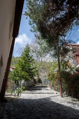 a road with trees on the side of a building at Hubstay Hillside Residence with Private Jacuzzi in Platres