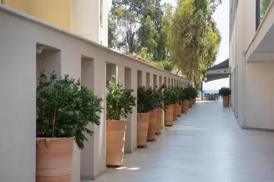 a row of potted plants lining a hallway at Harmony Bay Hotel in Limassol