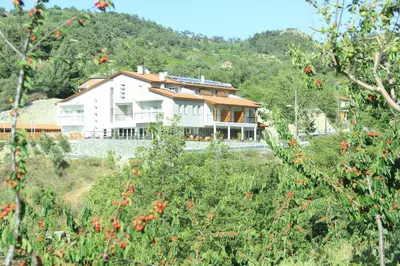 a large white house on a hill with trees at Livadia Hotel Kyperounta in Kyperounda
