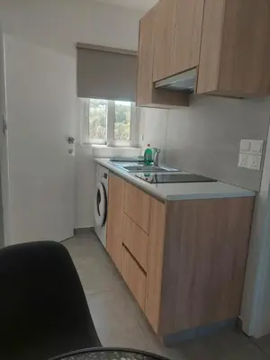 a kitchen with a sink and a washing machine at Green Bay Suites in Protaras