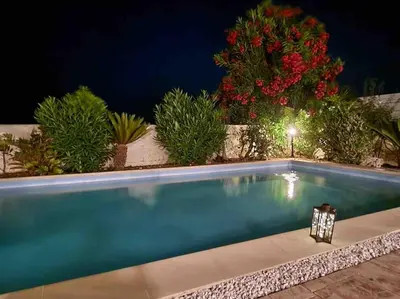 a swimming pool in a garden at night at Budget Escape to the seaside in Larnaka