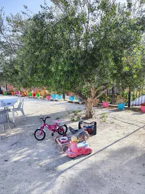 a group of childrens toys sitting on the ground under a tree at Mariam Apartment in Larnaka