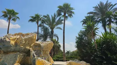 a group of palm trees and rocks in a park at Mediterranean Sunrise Apartments A1 in Voroklini