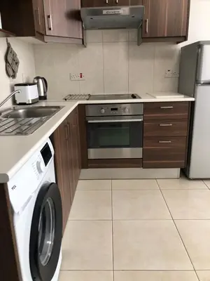 a kitchen with a washer and a stove and a dishwasher at A+A Apartment in Kiti