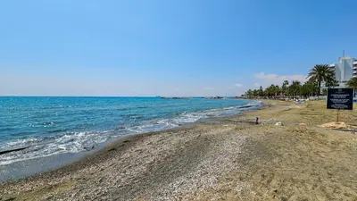 a sandy beach with palm trees and the ocean at Beach Love BeachFront Apartment in Pyla
