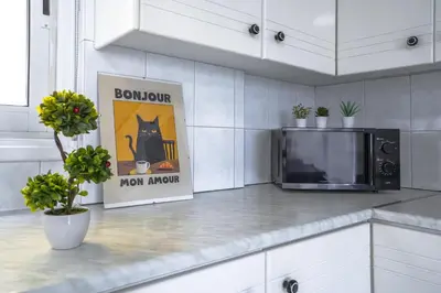 a kitchen counter with a microwave and a picture of a cat at Large apartment close to Finikoudes Beach with 2 balconies in Larnaka