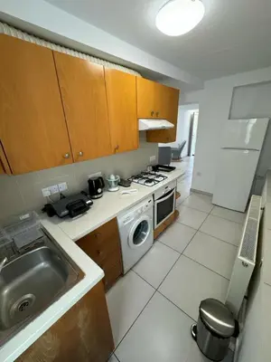 a kitchen with a sink and a washing machine at Maryland River Liz in Kakopetria