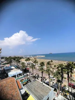 a view of a beach with palm trees and the ocean at Sunorama Beach Garden - Seaview in Larnaka