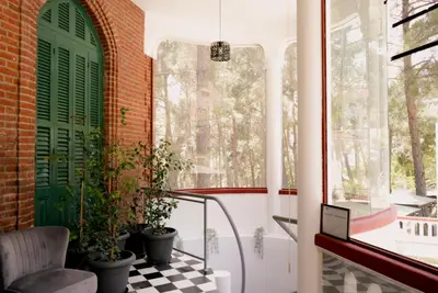 a room with a green door and potted plants at Semiramis Boutique Hotel & Spa in Kato Platres