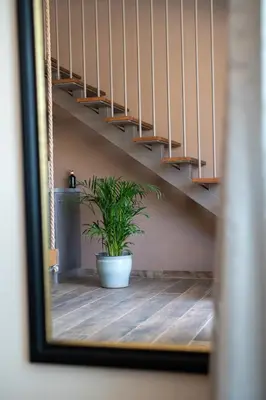 a plant in a pot on the floor next to stairs at Exotic Sea Boutique Adults Only in Protaras