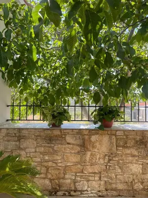 a brick wall with potted plants on top of it at Omodos Serenity House in Omodos
