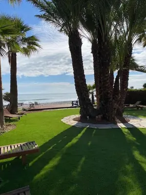 a park with palm trees and a bench and the beach at Beachfront villa Meneou in Meneou