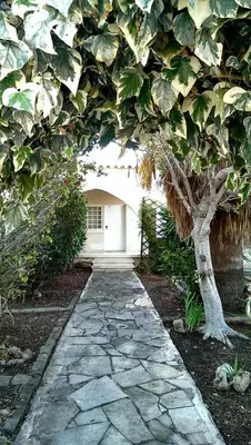 a stone walkway in front of a house with a tree at The Little House in Voroklini