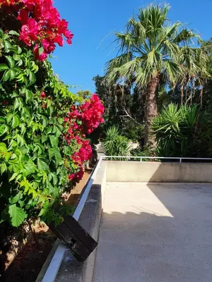 a park with pink flowers and palm trees and a bench at The Little House in Voroklini